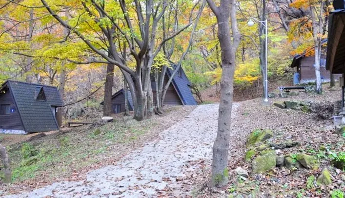 용추자연휴양림 / 사진=용추자연휴양림