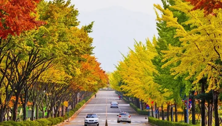 미사경정공원 풍경 / 사진=경기관광플랫폼