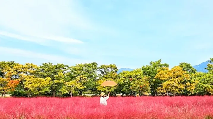 하남 미사경정공원 / 사진=경기관광플랫폼