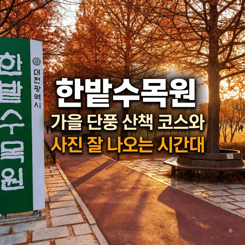 한밭수목원 가을 단풍 산책 코스와 사진 잘 나오는 시간대