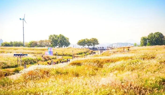 하늘공원 풍경 / 사진=서울관광 아카이브