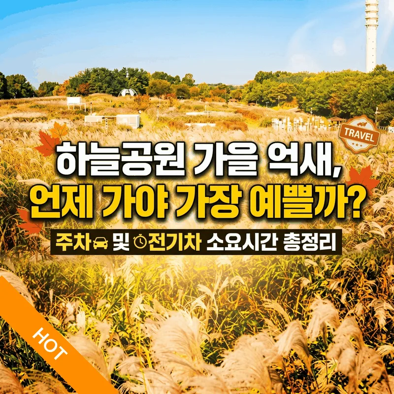 하늘공원 가을 억새 언제 가야 좋을까 주차 전기차 소요 시간 총정리