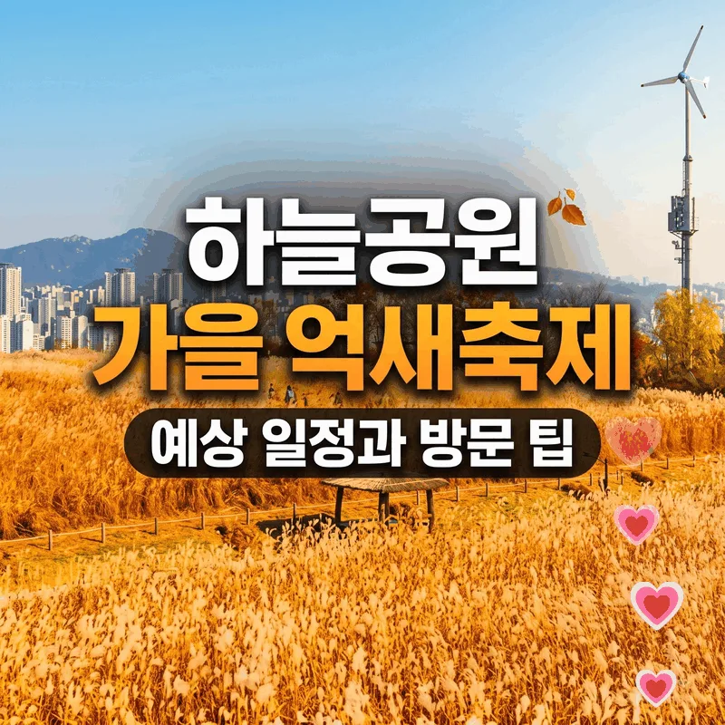하늘공원 가을 억새축제 예상 일정과 방문 팁