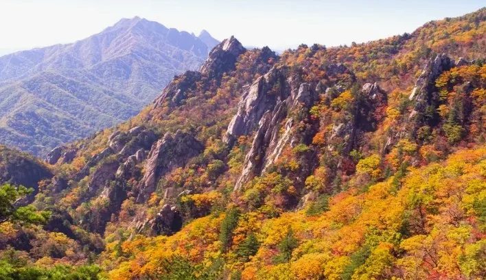 설악산 단풍 / 사진=게티이미지뱅크