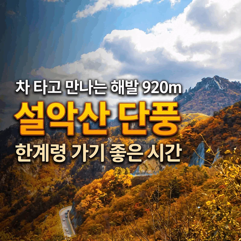 차 타고 만나는 해발 920m 설악산 단풍, 한계령 가기 좋은 시간