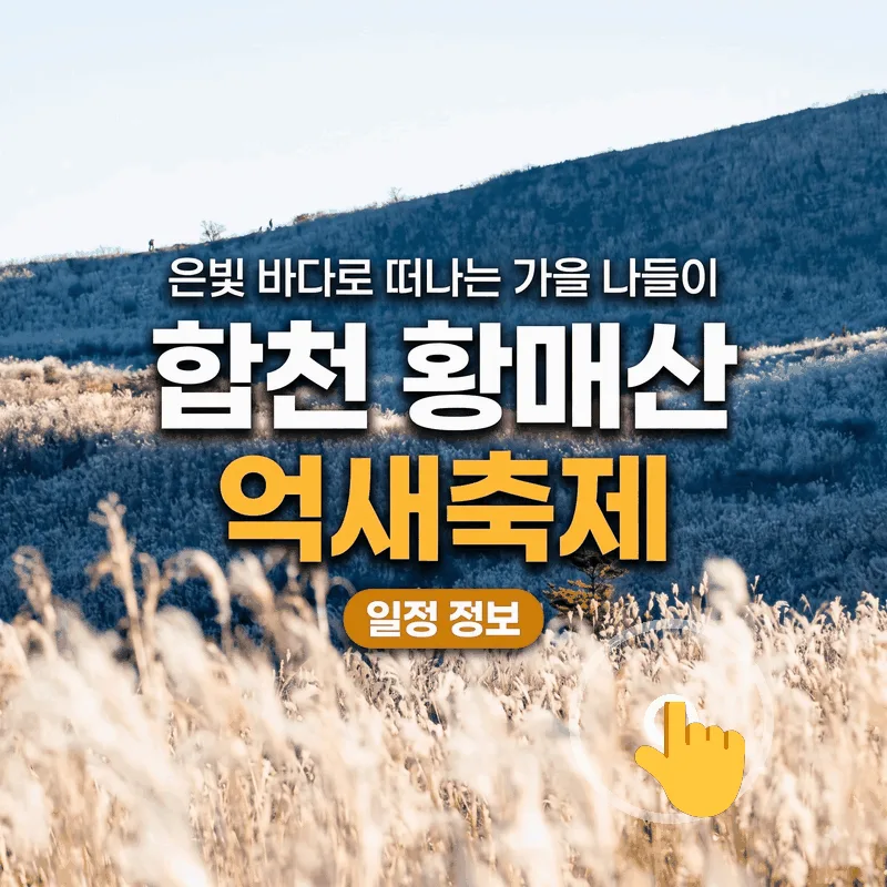 합천 황매산 억새축제 은빛 바다로 떠나는 가을 나들이 일정 정보