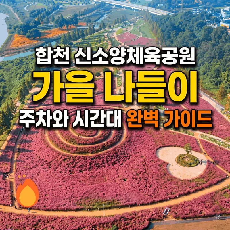 합천 신소양체육공원 가을 나들이 주차와 시간대 완벽 가이드