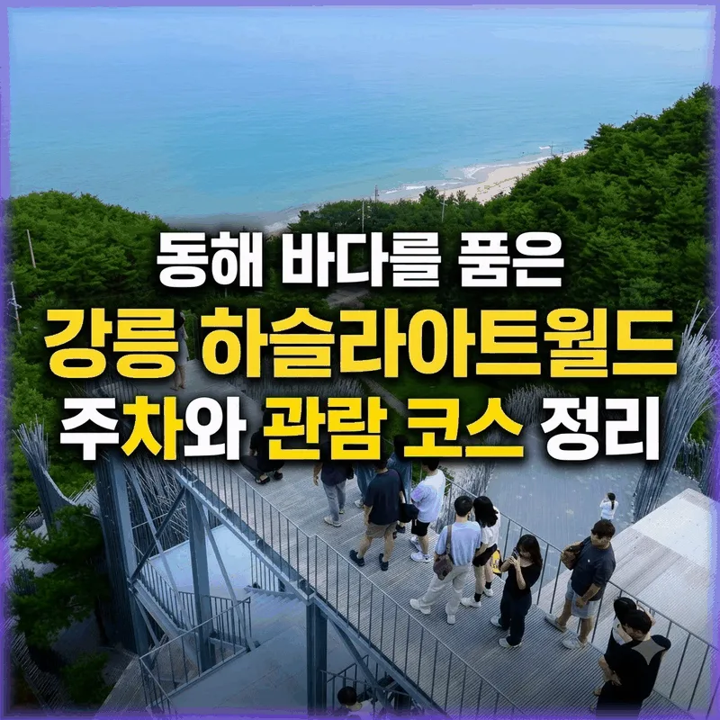동해 바다를 품은 강릉 하슬라아트월드 주차와 관람 코스 정리