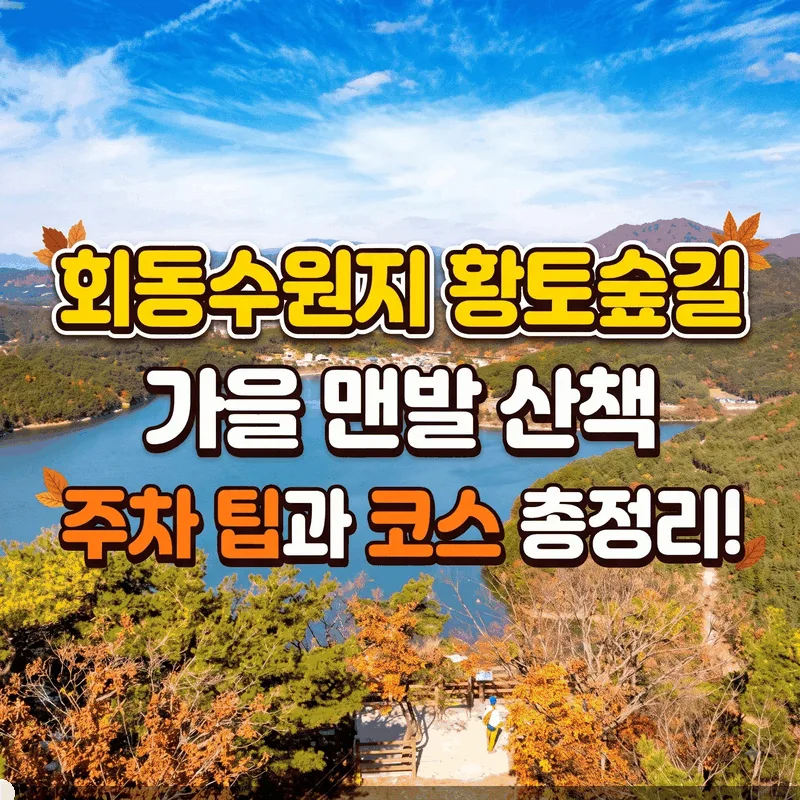 회동수원지 황토숲길 가을 맨발 산책 주차 팁과 코스 총정리