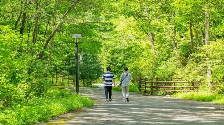 국립횡성숲체원 모습 / 사진=한국관광콘텐츠랩