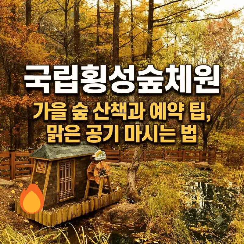 국립횡성숲체원 가을 숲 산책과 예약 팁, 맑은 공기 마시는 법