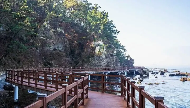 호미반도 해안둘레길 트레킹 / 사진=한국관광공사 김지호