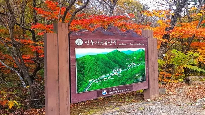 국립삼봉자연휴양림 / 사진=국립삼봉자연휴양림