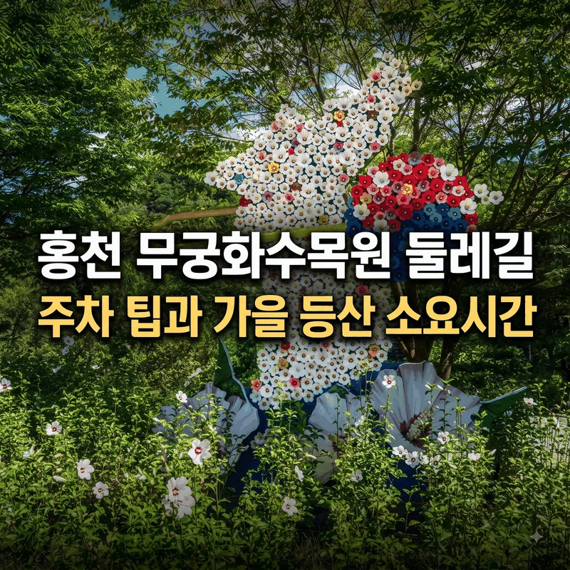 홍천 무궁화수목원 둘레길 주차 팁과 가을 등산 소요시간