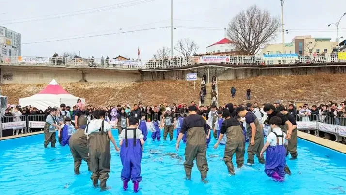 홍천강 꽁꽁축제 맨손 인삼송어잡기 / 사진=홍천강 꽁꽁축제