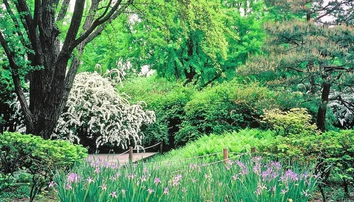 홍릉숲 봄 풍경 / 사진=국립산림과학원