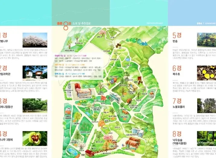 홍릉 8경 / 사진=국립산림과학원