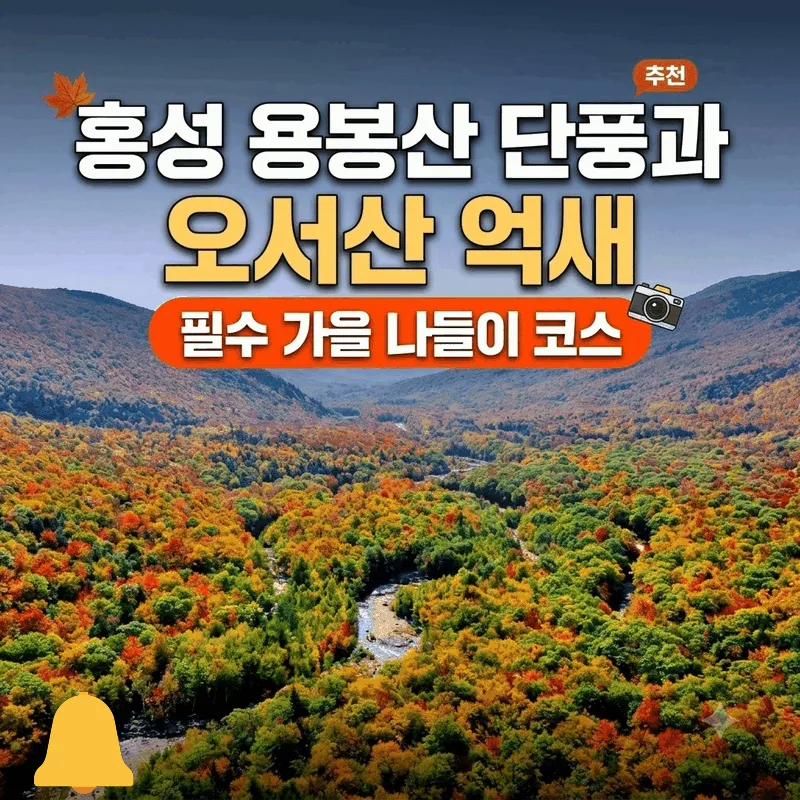 홍성 용봉산 단풍과 오서산 은빛 억새 가을 나들이 알짜 코스