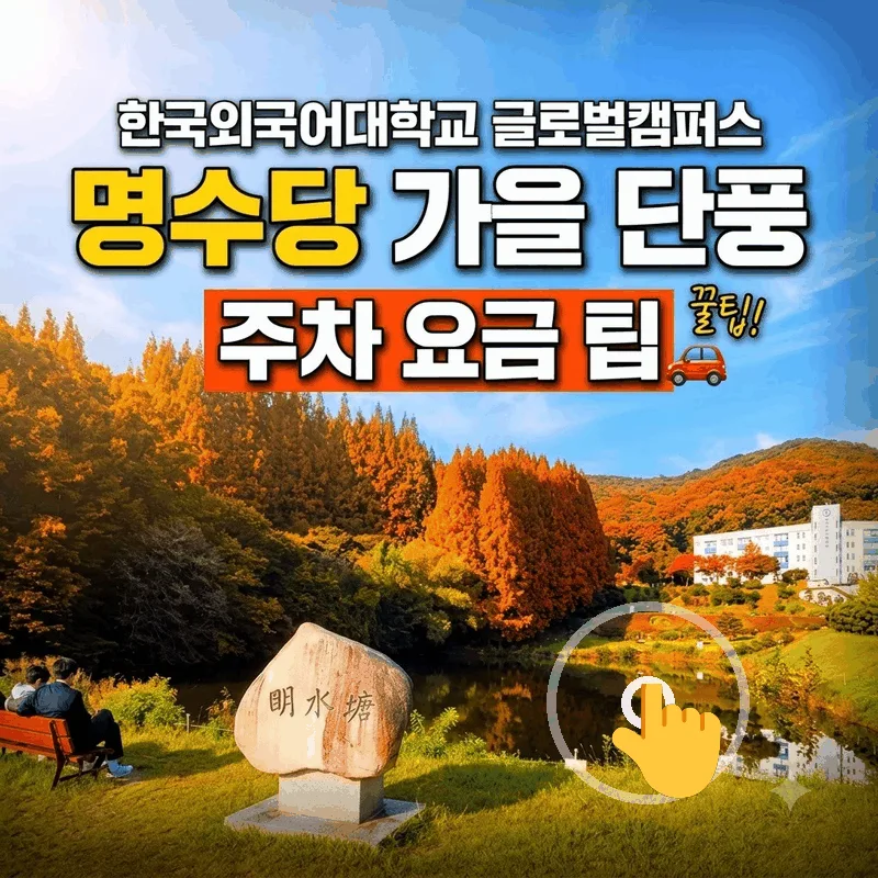 한국외국어대학교 글로벌캠퍼스 명수당 가을 단풍 주차 요금 팁