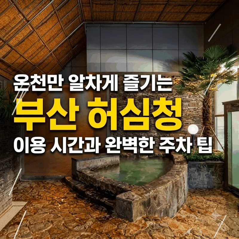 온천만 알차게 즐기는 부산 허심청 이용 시간과 완벽한 주차 팁