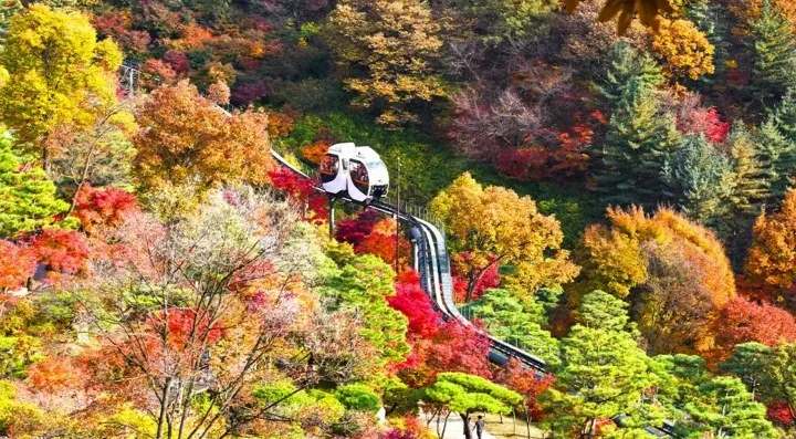화담숲 모노레일 / 사진=게티이미지뱅크