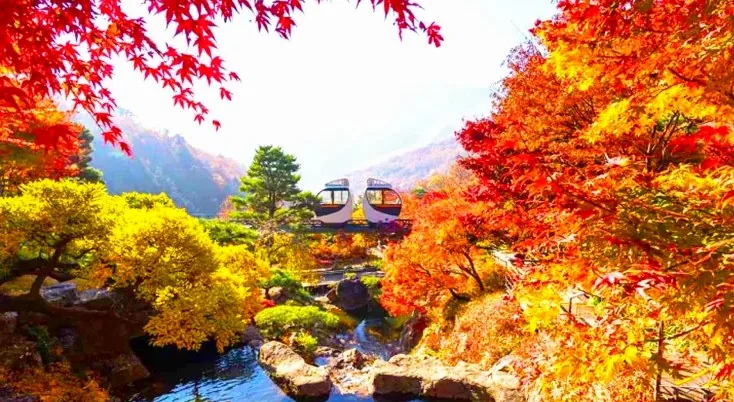 화담숲 / 사진=경기관광플랫폼