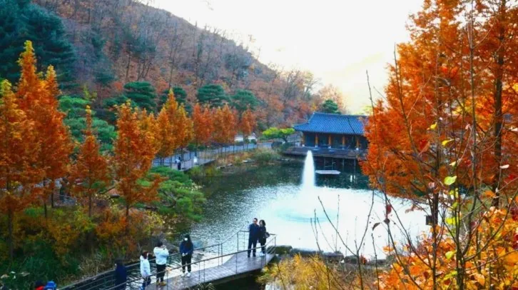 화담숲 호수 / 사진=경기도 공식 블로그 백서연