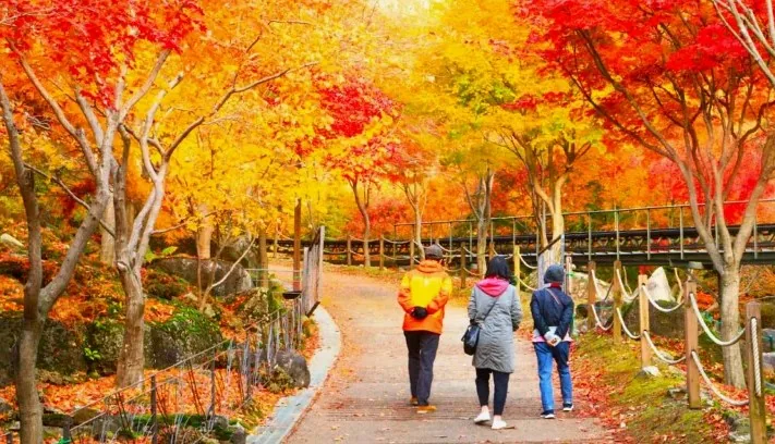 화담숲 산책 / 사진=경기도 공식 블로그 백서연
