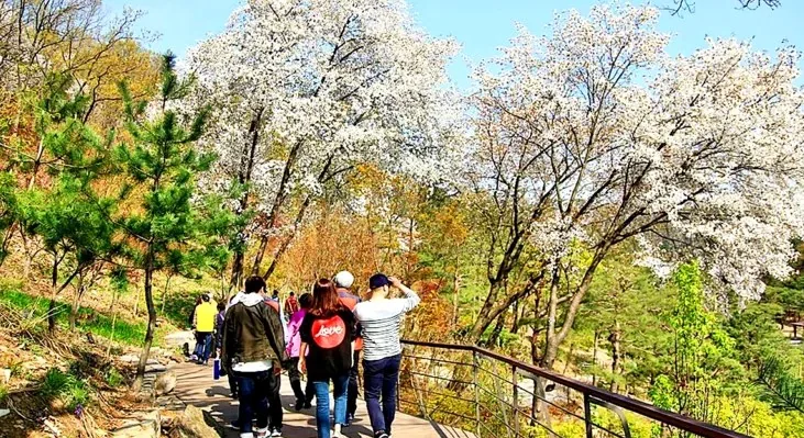 화담숲 산책로 / 사진=경기관광플랫폼