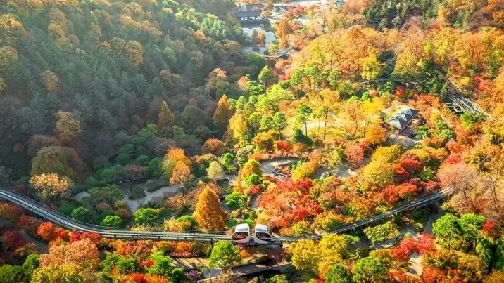 화담숲 / 사진=화담숲