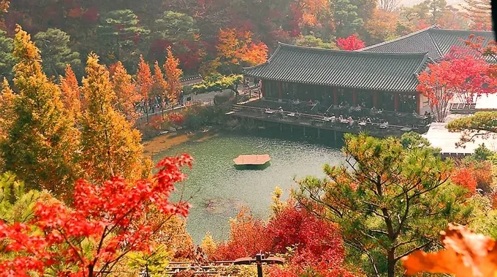 화담숲 모습 / 사진=여행을 말하다