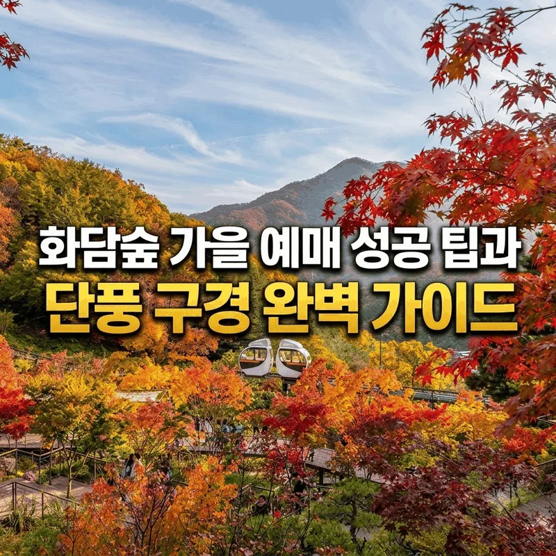 화담숲 가을 예매 성공 팁과 단풍 구경 완벽 가이드