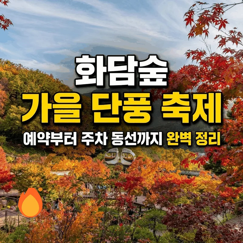 화담숲 가을 단풍 축제 예약부터 주차 동선까지 완벽 정리