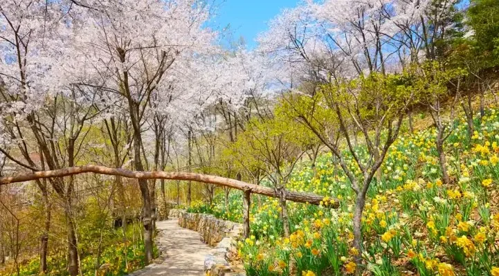 화담숲의 봄날 / 사진=화담숲