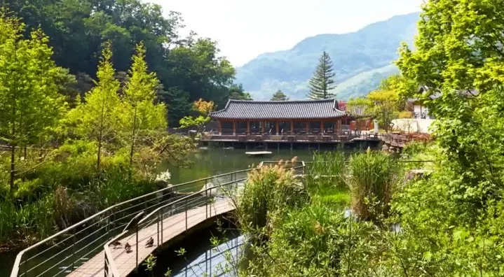 화담숲 연못 / 사진=화담숲
