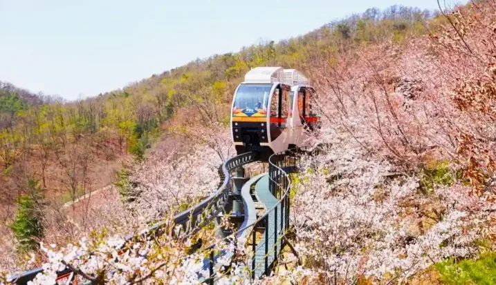 화담숲 모노레일 / 사진=화담숲