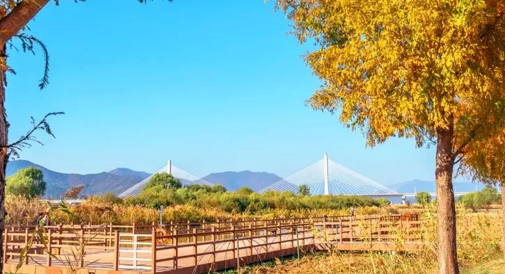 화명생태공원 수생데크길 / 사진=부산관광아카이브