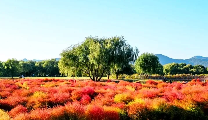 화명생태공원 / 사진=부산관광아카이브