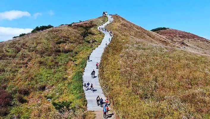 황매산군립공원 / 사진=황매산 군립공원