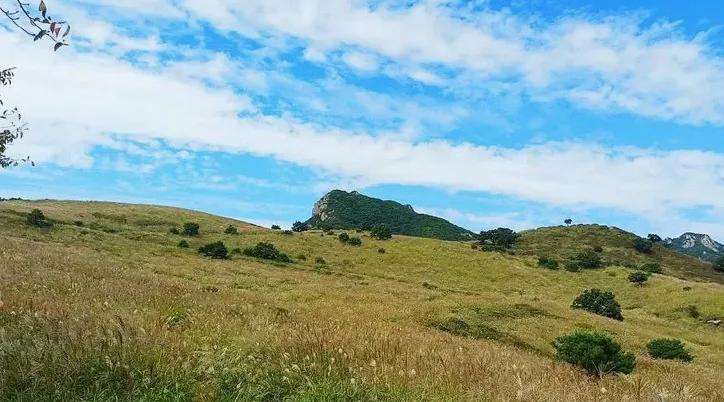 황매산군립공원 모습 / 사진=황매산 군립공원