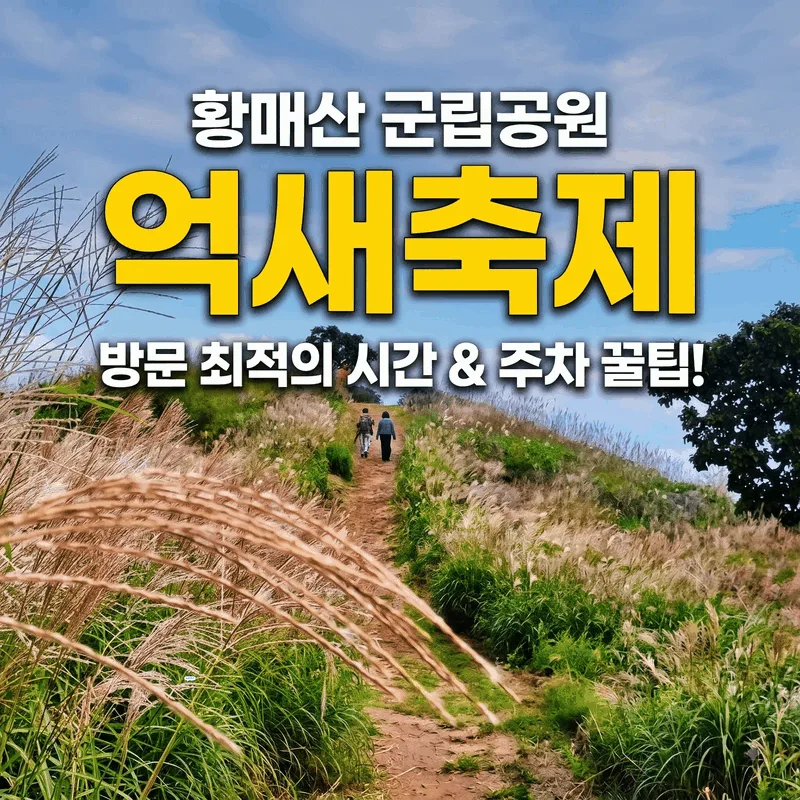 황매산군립공원 억새 축제 가기 좋은 시간과 주차 팁