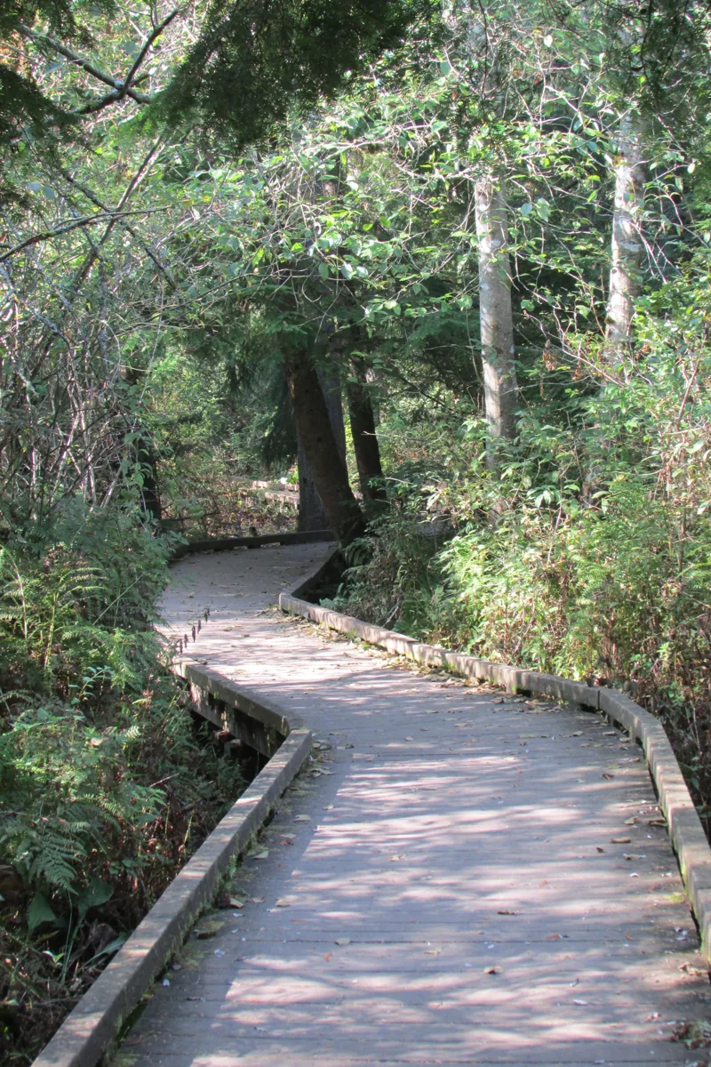 Boardwalk 5115