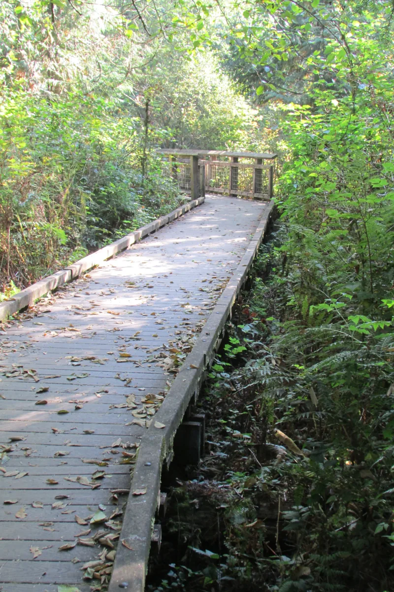 Boardwalk 5145
