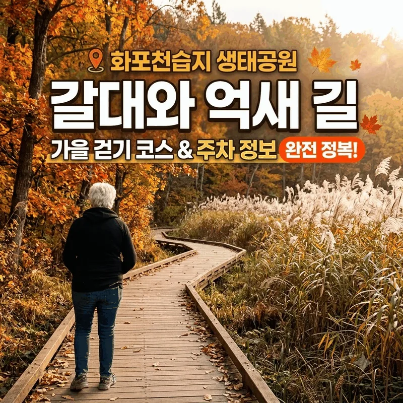 화포천습지생태공원 갈대 억새 길, 가을 산책 코스와 주차 정보 완벽 가이드