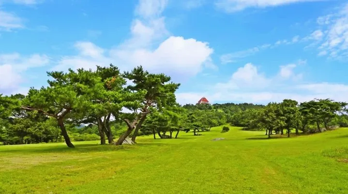 화랑의 언덕 / 사진=경주 문화관광