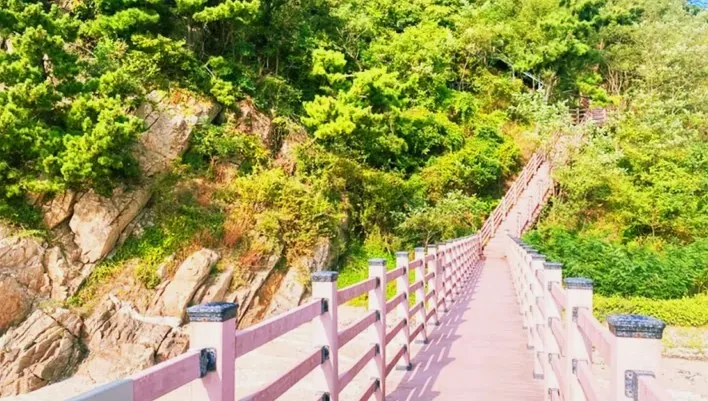 탑재산 아래 제비꼬리길 / 사진= 화성특례시 공식 블로그 조수진