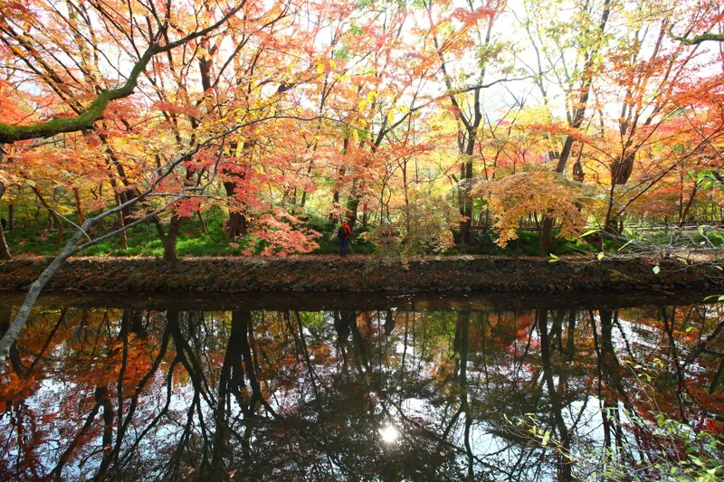 선운사
