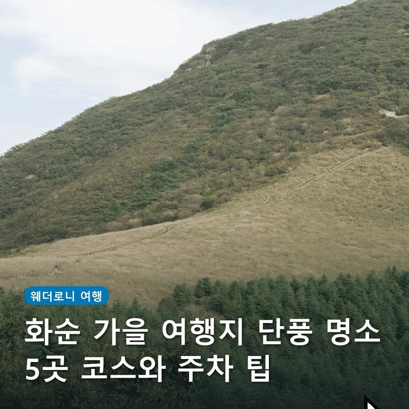 화순 가을 여행지 단풍 명소 5곳 코스와 주차 팁