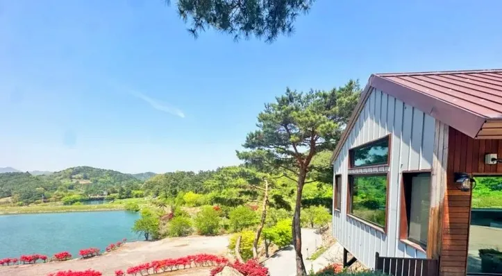 카페 백아 / 사진=카페 백아