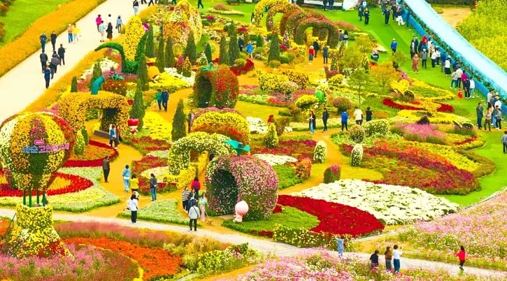 화순 고인돌 가을꽃 축제 전경 / 사진=화순군